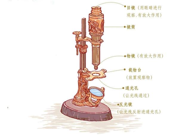 Ԫ?xn)ȳӲ˿ƌW(xu)ߴP(pn)c(din)ƌW(xu)(li)